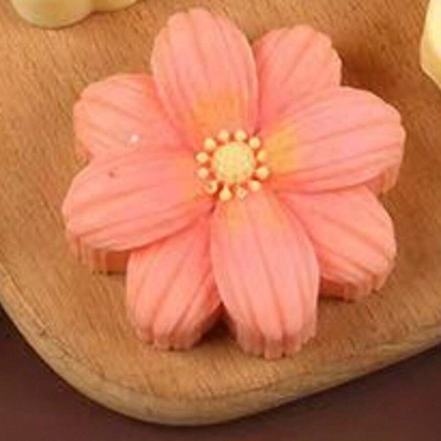 1个花香蜡烛树脂硅胶模具，樱花、四叶草、雏菊花卉石膏香氛硅胶模具 - 白色 - 查看 1