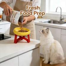 15°倾斜防呕吐增高宠物喂食碗，猫狗通用高脚碗，颈部和脊椎保护设计，防滑宽底座，耐用塑料材质，适用于猫和小型犬，干湿粮皆可盛放，实用宠物礼品 - 100 - 查看 9