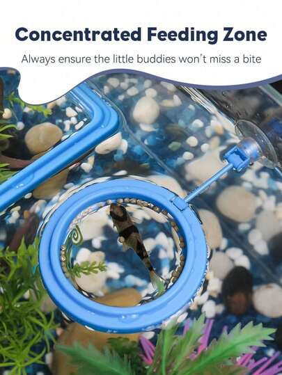 Aquarium Floating Feeder Ring - Round And Square Floating Feeder With Suction Cup, Suitable For Bettas, Goldfish, Peacock Fish, Turtles And Small Fish