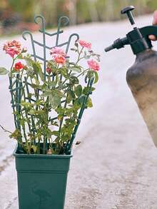 [5/10pcs Stackable Trellis Support Rack, Multi-Functional Balcony Ivy Jasmine Climbing Plant Gardening Tool Fixed Rod Plant Grid Rack, Plastic | Stackable, Climbing | Potted Plants | Small | Easy To Use] - Ram's Horn Grid Support - View 4