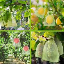50/100 piezas Bolsas de protección de frutas, bolsas de malla verde con cordón, bolsas de aislamiento de frutas para prevenir insectos, adecuadas para uvas, manzanas, mangos y otras frutas, verduras, etc. - 50 pcs - Ver 5
