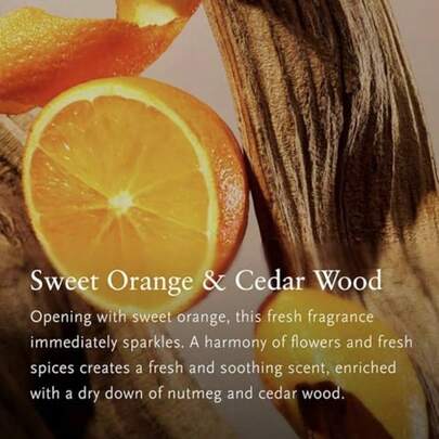 RTTUALS Home Indoor Fragrance Diffuser - Sweet Orange And Cedarwood Air Freshener - Stimulating And Sweet Room Scent, Providing A Unique Fragrance Experience - 500ml