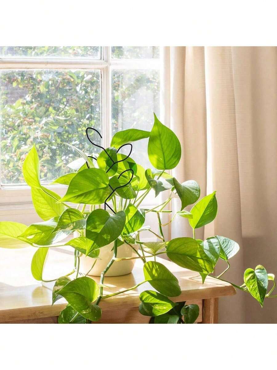 Outdoor Potted Plant Climbing Trellis, Small Garden Metal Houseplant Trellis,Creative Flower Trellis, Vine Trellis, Plant Flower Display Rack, - B-Black - View 1