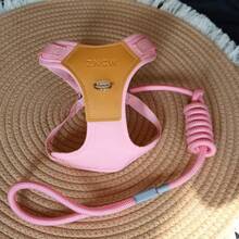 可调节透气牵引胸背带，适用于小型/中型犬，防污染宠物遛狗背心 - 彩色 - 查看 12