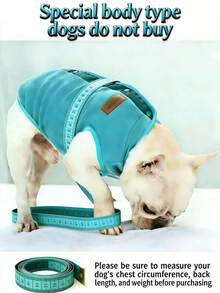 舒适抓绒狗狗背心套装，冬季保暖宠物服装，适合小型犬，尤其适合法斗等短腿犬种，幼犬御寒服。小型犬冬季外套，抓绒狗狗夹克，保暖幼犬背心，狗狗御寒服，法斗冬季套装，短腿犬套装，幼犬冬季套装，宠物抓绒套装，纽扣式狗狗背心，室内外皆宜的多功能狗狗夹克。 - 藏蓝色 - 查看 7