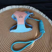 可调节透气牵引胸背带，适用于小型/中型犬，防污染宠物遛狗背心 - 彩色 - 查看 15