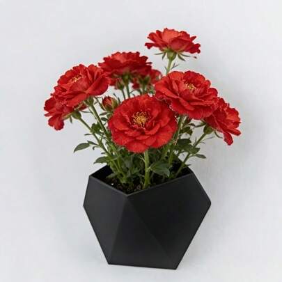 Chậu hoa treo tường, chậu trồng cây thảo mộc hình học, hộp đựng đồ đa năng treo tường phù hợp để đựng đồ dùng văn phòng, cây mọng nước và các vật dụng nhỏ, màu đen.