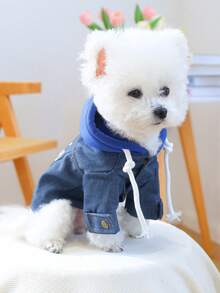 Áo khoác cho thú cưng (1 chiếc), chống bẩn, kiểu áo hoodie cho chó nhỏ - Áo khoác Paris - Màu xanh lam - Xem 4