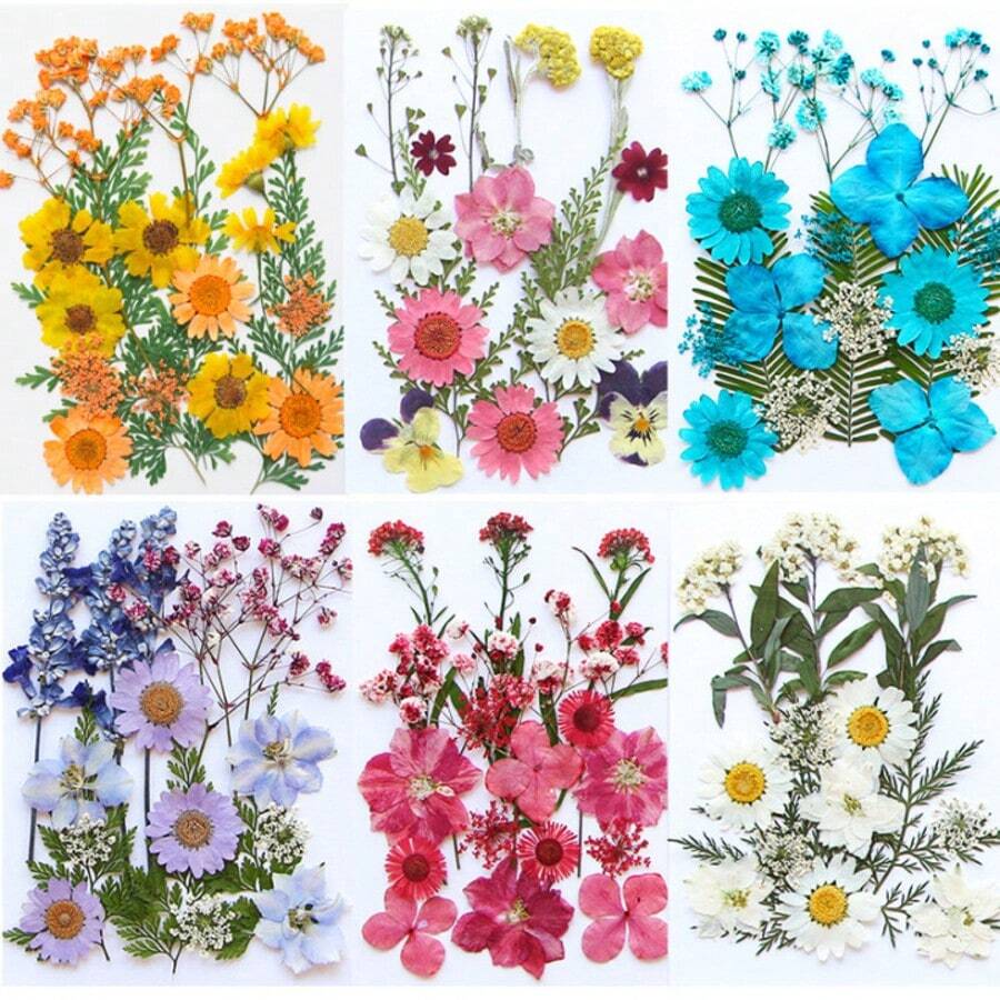 压花树脂模具，逼真的干花和叶子，适用于剪贴簿、DIY蜡烛配件、珠宝工艺等。所有各种压花干花均采用透明真空包装，以保护树脂花在运输过程中不受损坏；请注意，由于这些是人造植物，花朵的形状和颜色可能与图片略有不同。（已加工，无虫害风险）由于季节性因素，某些花材有时可能会缺货，我们将用相同尺寸或颜色的花材替代，恕不另行通知。