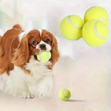 Interactive Tennis Ball Dog Toy - No Launcher Needed, Rubber Dog Ball, Suitable For Small Dogs (Pomeranian, Shih Tzu, Chihuahua) - Chew-Resistant Pet Tennis Ball, Tennis Racket Design, Pet Material - Mint Green - View 7