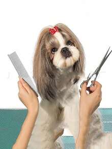 1支金属涂层宠物直毛刷，狗狗美容刷，金属涂层宽齿梳，适用于猫狗美容 - 彩色 - 查看 10