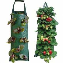 [1pc UV Hanging Flower Planter] 1pcsHanging Flower Strawberry Planting Bags, Planting Fruits, Herbs, Flowers, UV Treatment, Green, 8 Planting Openings - Multicolor - View 10