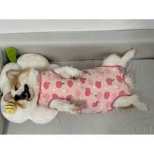 Bộ đồ phục hồi cho chó PETCHIC, chất liệu viscose, phù hợp cho cả chó đực và chó cái, giải pháp thay thế cho thuốc xịt chống quấy rối, quần áo bảo vệ da (Màu hồng) - Hồng - Xem 9