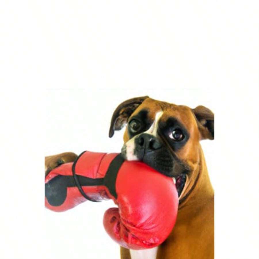 Boxer Breed Notebook - como en la foto - Ver 1