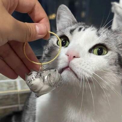 BRIGHT LINK 猫毛收纳扭蛋，猫毛收集罐，猫毛收藏钥匙扣胶囊吊坠，节日礼物，收藏礼物