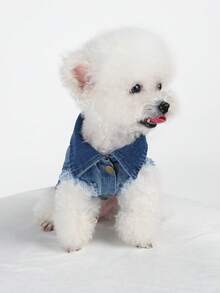 1pc Pet Jacket Coat, Dirt-Resistant Durable Fashionable Small Dog Clothes - Cool Jacket - Blue - Blue - View 4