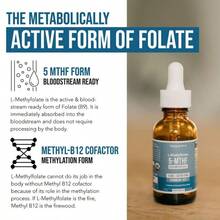 L Methyl Folate 15mg + B12 Cofactor – Organic, Berry Flavor, Professional Strength, Liquid Active 5-MTHF Form, Supports Mood, Methylation, & Cognition Fitness Dietary - 一件 - 查看 4
