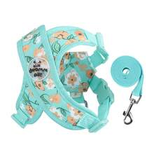 Conjunto de correa para mascotas con estampado floral de primavera, adecuado para perros pequeños, ajustable y cómodo, impresión digital en lienzo transpirable, patrón floral lindo, opciones de multicolor, equipo de exterior de mascotas de moda para evitar fugas - Verde - Ver 3