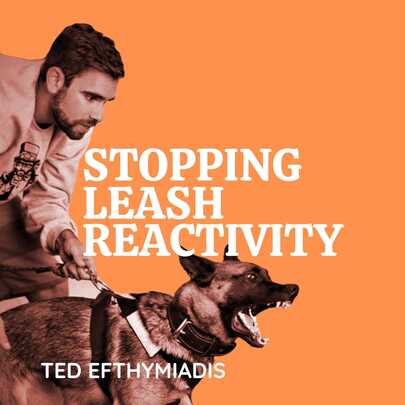 Stopping Leash Reactivity: A Balanced Approach To Stopping Leash Reactivity Once And For All