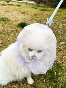 Breathable Cat/Dog Muzzle, Anti-Bite Anti-Lick Mesh Face Cover, Headgear For Cat Grooming, Pet Accessories - Multicolor - View 2