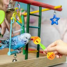 2 Random Color Parrot Rattles Bird Training Toys Hand Rattle Toys - 4pcs Random Colors - View 8