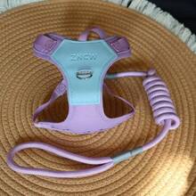 可调节透气牵引胸背带，适用于小型/中型犬，防污染宠物遛狗背心 - 彩色 - 查看 13