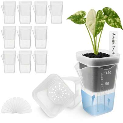 10sets Indoor Plant Self-Watering Planter Set, Includes 10 Mini Transparent Plastic Pots With Water Level Indicator And Drainage Hole, Suitable For Propagating Plants, Succulents And African Violets