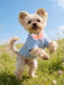 3/10pcs Spring Cute Pet Lace Crystal Wings Pet Tie, Lightweight Mesh+Sparkling Diamond Embellishment, Beautify Strolling/Party/Spring Outing Happy Baby, Adding Points To Mao's Spring Vitality Dressing - Multicolor - View 4