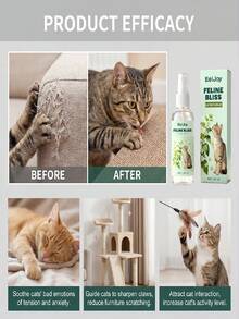 猫咪喷雾，持久留香，趣味宠物猫玩耍互动喷雾 - 薄荷 - 查看 2