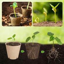 50PCS Pulp Seedling Cups With Drainage Holes Paper Seedling Pots For Home Garden Nursery Vegetable Flower Seed Germination Starting And Transplanting - Multiple Styles - View 8