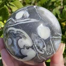 Crystal Shapes & Carvings - Multicolor - View 5