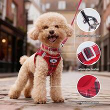 Dog Harness And Leash Set, No Pull Soft Mesh Pet Harness, Reflective Adjustable Puppy Vest For Small Medium Large Dogs, Cats - Multicolor - View 5