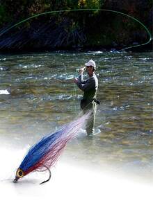 GOTURE 5/10件套飞蝇钩套装，湿式飞蝇钓饵，模仿受伤的小鱼，磁浮慢沉，适用于鲑鱼、鳟鱼、洄游鱼类，飞蝇钓饵套装，节日礼物 - 彩色 - 查看 8