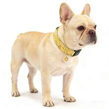 Paisley Pattern Dog Collar With Floral Pendant, Adjustable Soft Cute Sweet Dogwood Print Pet Collar, Suitable For Small/Medium/Large Dogs - Yellow - View 4