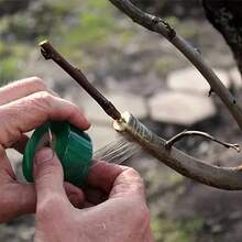 2卷可拉伸嫁接膜、嫁接胶、嫁接胶带、种植胶带，用于嫁接植物、修复树木和果树 - C - 查看 3