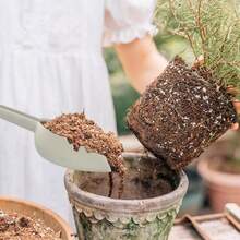 带挂孔的塑料园艺铲，适用于花园和家庭种植、装盆土、施肥、装鹅卵石等。 - 2個裝 - 查看 4