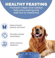 Tazón Slo Fun Feeder de Outward Hound - Grande, capacidad de 4 tazas, alimentación lenta, para perros medianos a grandes, antideslizante, azul, patrón de muesca - ColorA - Ver 2