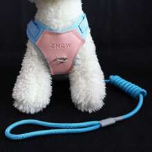 可调节透气牵引胸背带，适用于小型/中型犬，防污染宠物遛狗背心 - 彩色 - 查看 10