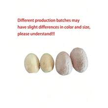 Bộ đồ chơi đào trứng khủng long (1/3/5 món ngẫu nhiên) (kèm bộ dụng cụ), thích hợp cho tiệc tùng, trò chơi đào trứng khủng long bất ngờ, sách hướng dẫn và thẻ nhận dạng khủng long, STEM cổ sinh vật học, bộ quà tặng hoạt động khoa học vui nhộn. - Xem 11