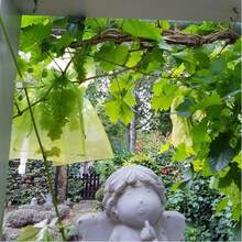 50/100pcs Fruit Protection Bags, Fruit Tree Guard Net Cover, Mesh Fruit Bags For Fruit Protection, Organic Mesh Bags, Green Vegetable Net Bags, Reusable - 100PCS - View 2