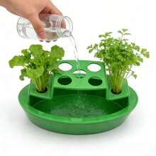 1pc Scallion Planter, Hydroponic Reusable Scallion Grower, Regrows Repeatedly, Simple Home Use, Soil-Free Planter Box, Ideal Planting Accessory - Seedling Pot - View 4