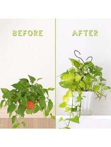 Outdoor Potted Plant Climbing Trellis, Small Garden Metal Houseplant Trellis,Creative Flower Trellis, Vine Trellis, Plant Flower Display Rack, - B-Black - View 4