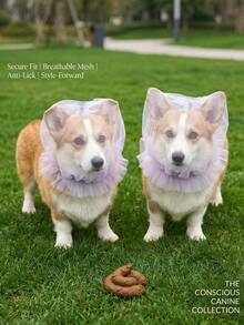 Breathable Cat/Dog Muzzle, Anti-Bite Anti-Lick Mesh Face Cover, Headgear For Cat Grooming, Pet Accessories - Multicolor - View 6