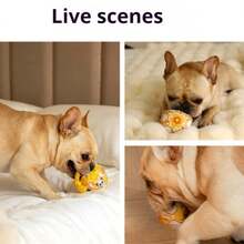 会发出吱吱声的互动式狗狗玩具球，可用于追踪气味和陪伴的咀嚼玩具 - 彩色 - 查看 8