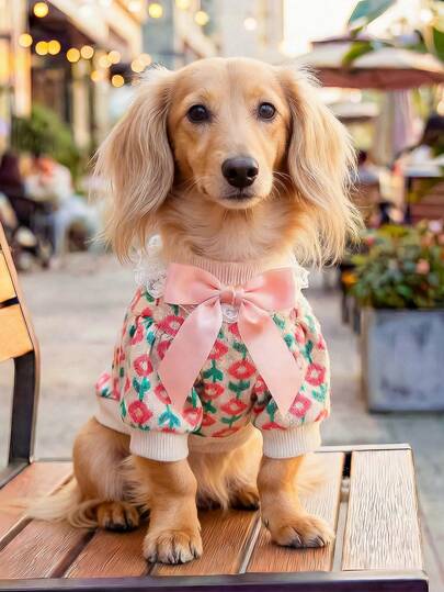 1pc Pet Clothes, Outdoor & Indoor Apparel For Small Dogs & Puppies, Casual Fashion Cute Comfortable With Leash Buckle Bow Tulip Flower Knitted Sweater - Pink