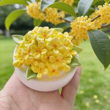 2pcs White Lilac Rose Shaped Silicone Molds, Handmade Floral Candles, Date And Wedding Scene Aromatherapy Candle Ornaments, Can Be Made Of Plaster, Candles, Etc., With Simple Demolding And Reusable Silicone Molds. - White-flower - View 2