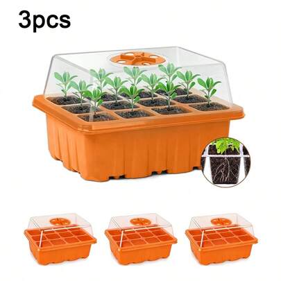 3个12格橙子育苗盘，带短盖，独立隔间用于种子发芽，透明高盖透光性好，促进光合作用，保持温暖湿润，适宜播种。
