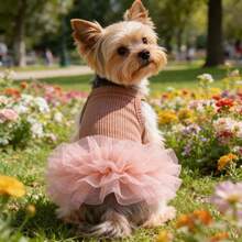 1pc Elegant Ballet Tulle Dress Pet Dog Clothes, Princess Dress Sleeveless Romantic Party Outfit, Suitable For Small Dogs, Cats, Cool Spring/Summer - Pink - View 9