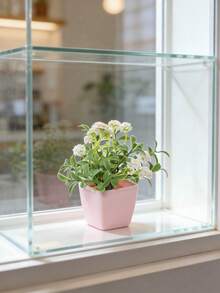 5 chậu hoa hồng và hoa cúc nhân tạo mini màu hồng, thích hợp trang trí tiệc cưới, nhà ở, nhà hàng, trang trí bàn làm việc văn phòng, ngày lễ tình nhân, quà tặng sinh nhật, tốt nghiệp, trang trí mùa thu, trang trí nhà mùa thu, trang trí phòng học trở lại, đồ dùng học tập, cây giả - Hồng - Xem 12