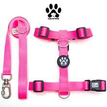 H-Shaped Dog Harness With 1.20m Standard Leash - Pink - View 7